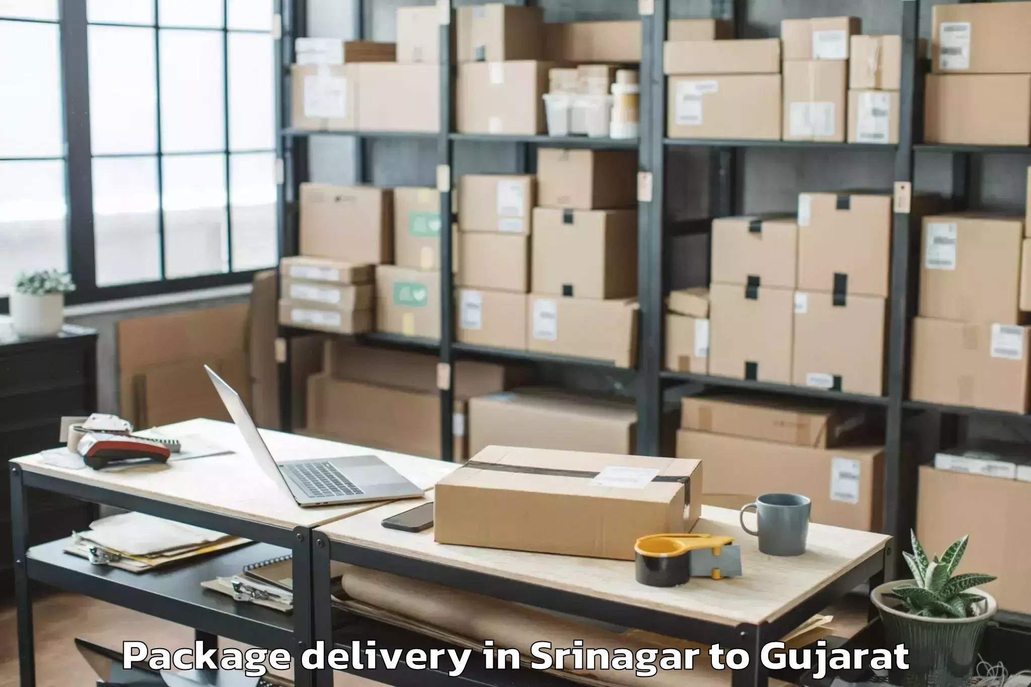 Quality Srinagar to Ahmedabad Airport Amd Package Delivery